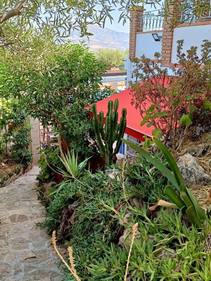 埃尔乔罗Casa Oasis公寓 外观 照片