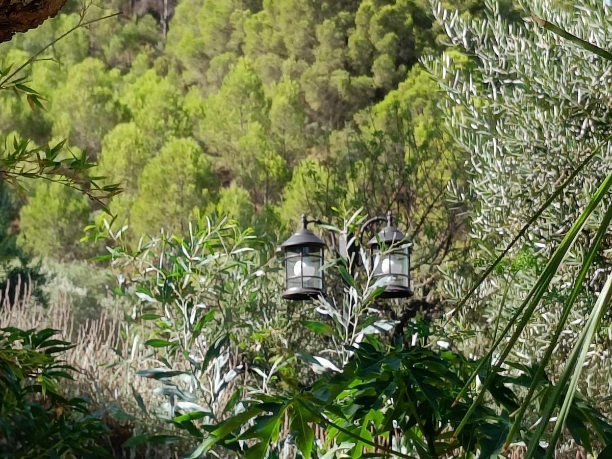埃尔乔罗Casa Oasis公寓 外观 照片